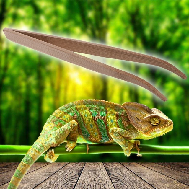 Reptile Feeding Tools 16.5/28cm Bamboo Tweezers Reptile Insects Lizard Gecko Turtle Snake Spider Bird Feeding Cleaning Tool 2