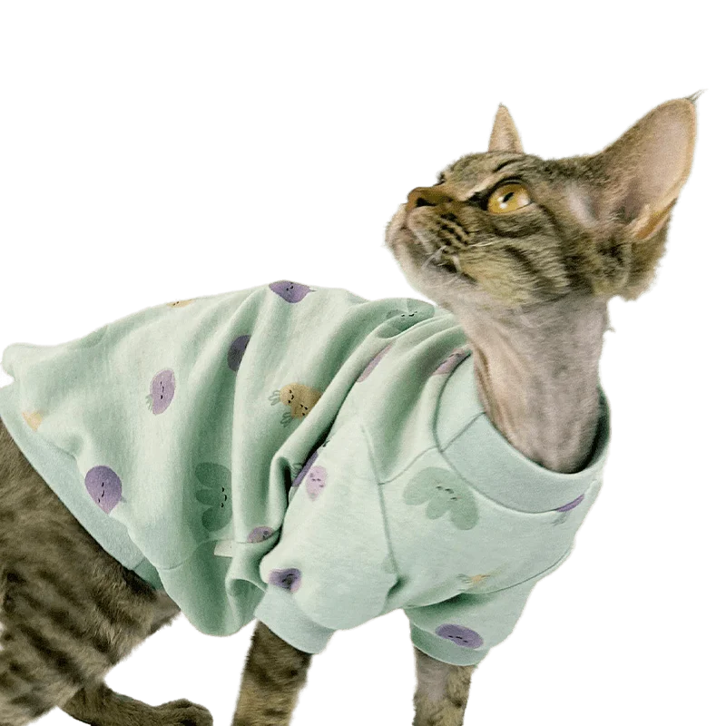 HairlessCatClothesSphinxClothingDevonRexClothesConisKitty