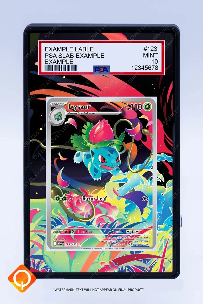 Deluxe Acrylic Anime Art Display Case for Trading Card Showcase