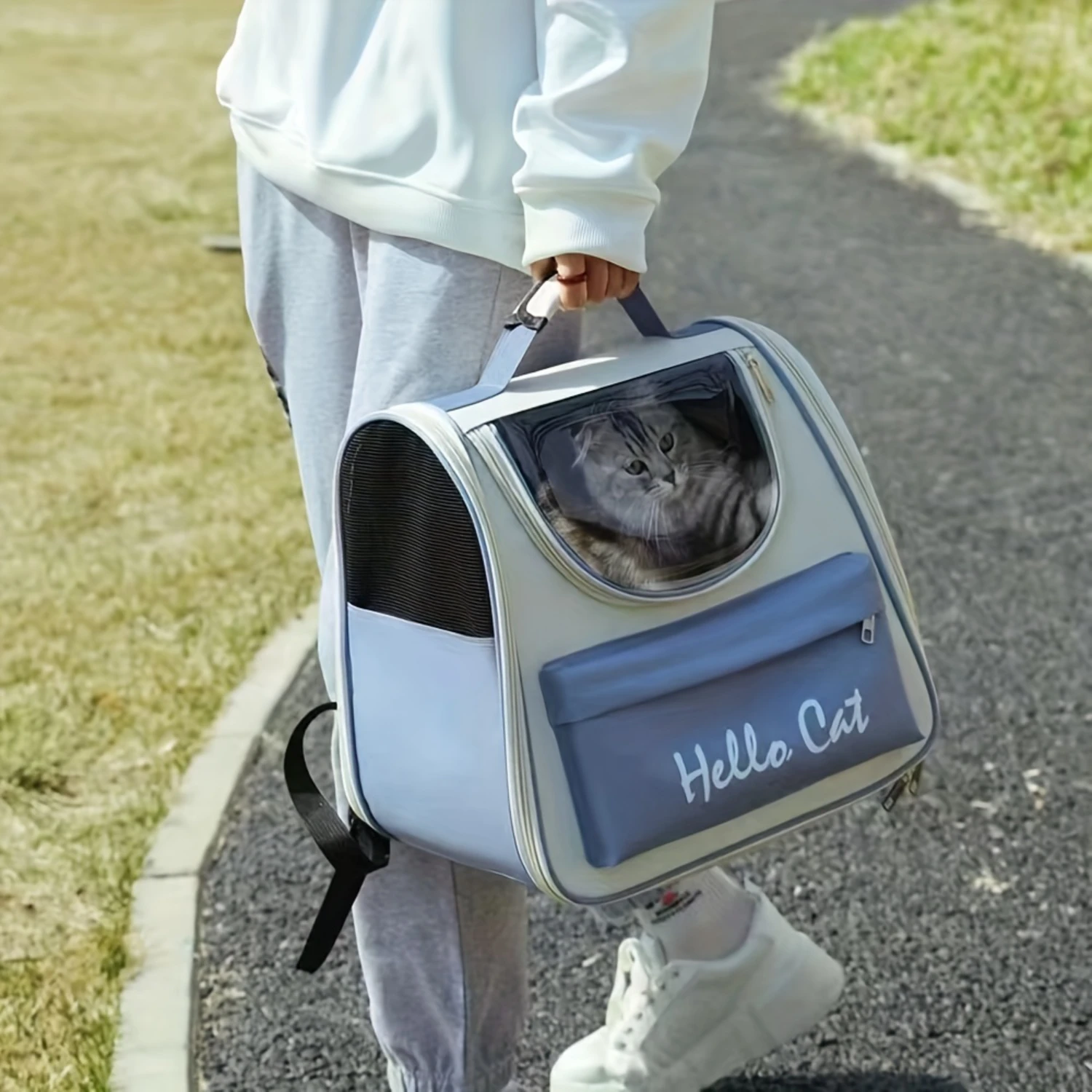 1Pc Cat Bag, Outing Portable Foldable Breathable Capsule Large Space Cat Bag