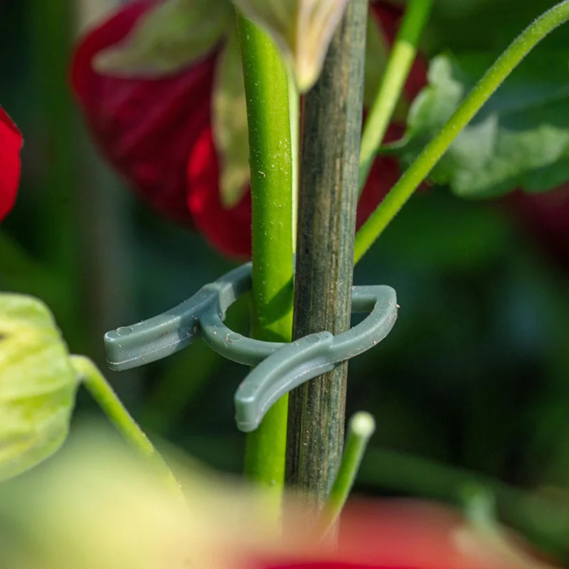 100/200pcs Garden Plant Clips for Vegetable Growing Vertical Plant Holder Green Plastic Ring Bundle Garden Holder Vine
