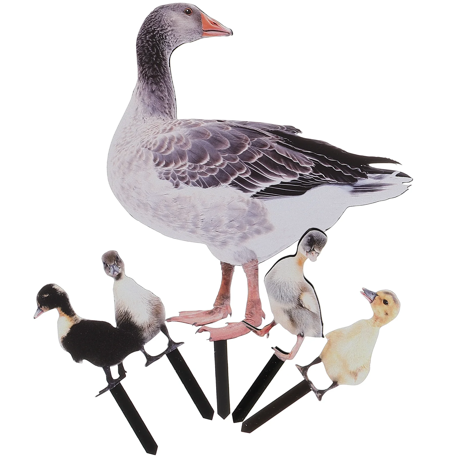 ߿     , ǹ  ũ ݷ   ܵ , 