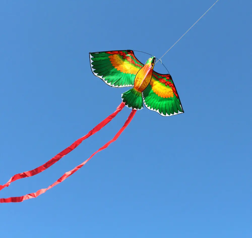 Colorful rainbow kite Eagle kite Plastic kite Butterfly kite Beach delta kite Delta kite Beach kite Stunt kite Unicorn kite Plane kite Snake kite Power parafoil kite Chinese dragon kite Foal kite Parafoil kite 43inch Parrot Bird Kite With Handle And Line For Kids