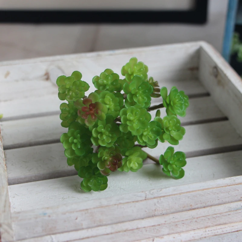 

Bonsai Plants 24 Heads Succulents Micro Landscape Simulation Succulent Bonsais Balcony Flower Planting Home Decoration