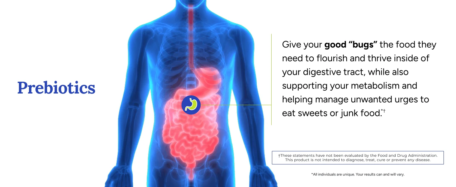 prebiotics digestive digestion good healthy manage sweets and junk food cravings