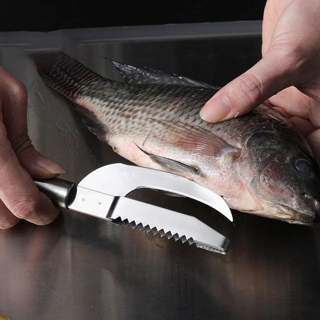Fish Cleaning Scaler, Fish Cleaning Knife, Kitchen Accessories