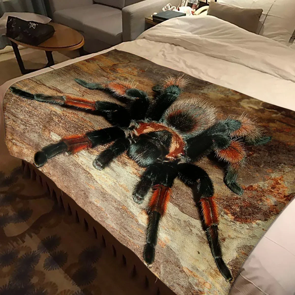 ذ Ź Ź Ź, ҷ    , ħ Ž , ε巴  , ҷ 