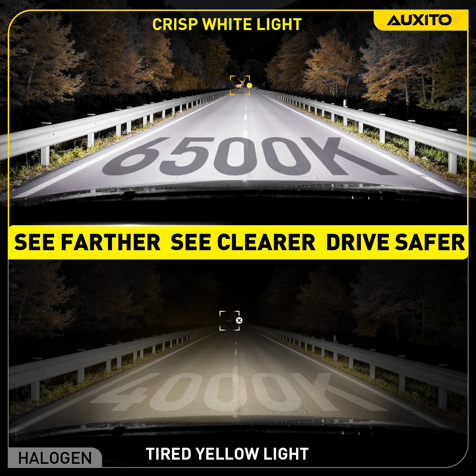 AUXITO 2개입 12000LM H11 H8 LED 안개등 6500K 백색 H16(JP) 9005 HB3 9006 HB4 LED 헤드라이트 전구 자동차 DRL 주행등 팬리스