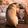 Animal Print Bendable Dog Pillow, Bendable Cushion, Gift for Dog Lovers 1