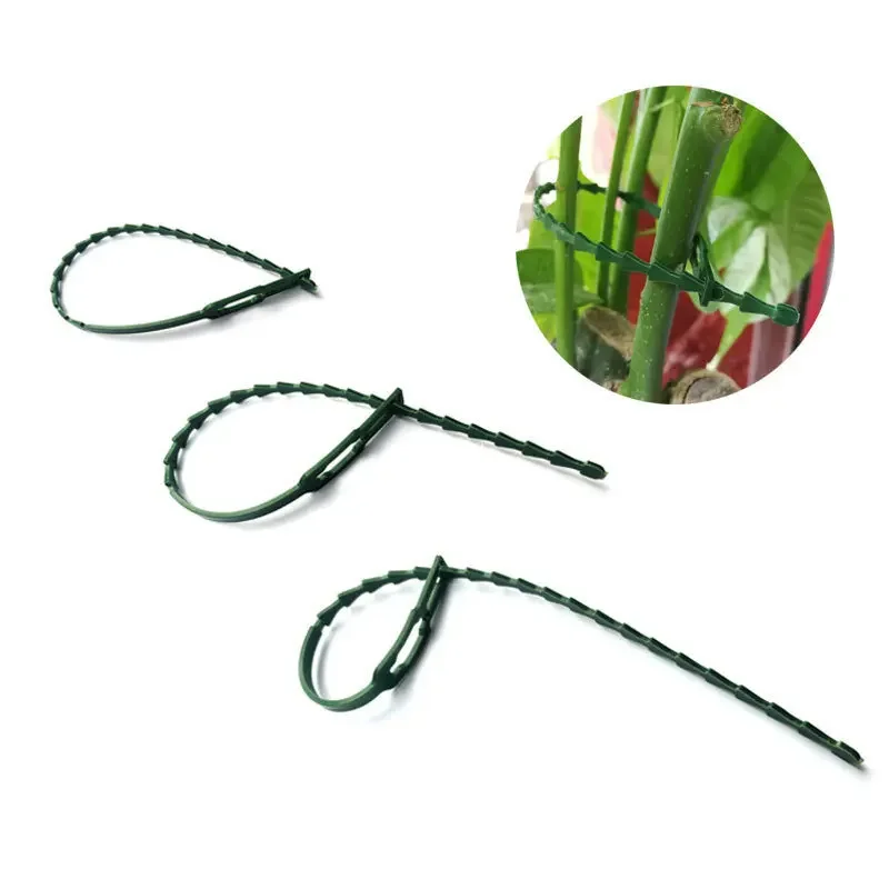 30PcsReusableGardenCableTiesPlantSupportShrubsFastenerTreeLockingNylonAdjustable