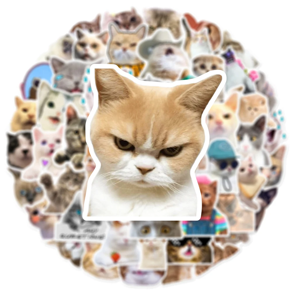 10/30/50pcs 귀여운 동물 고양이 재미 있은 새끼 고양이 MEME 낙서 스티커 스케이트 보드 기타 스크랩북 노트북 장식 스티커 데칼