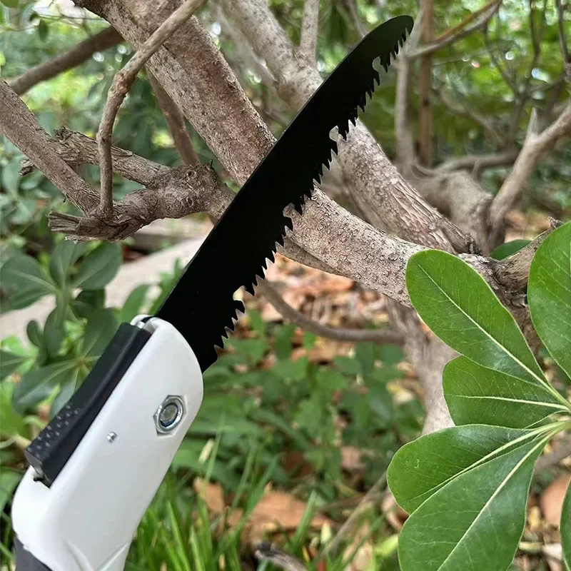 Slide image 80ada4fd5cba44e9ba576fabd9b560c8