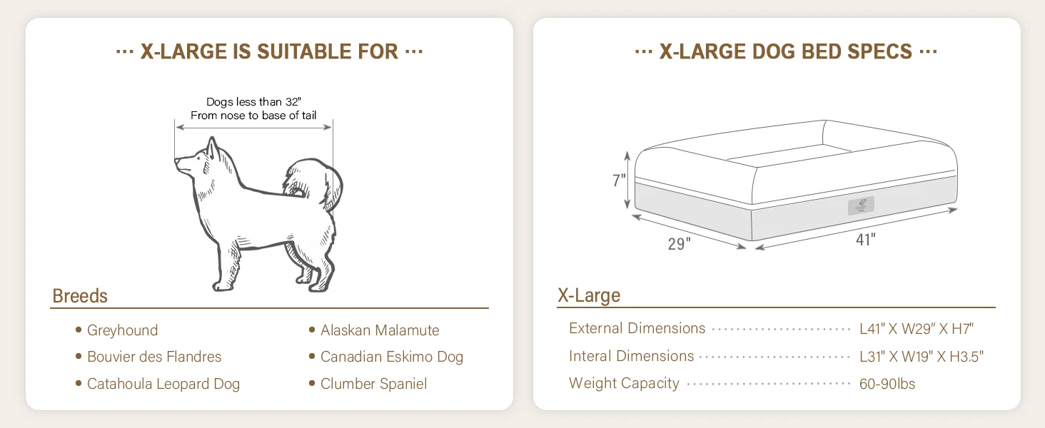 xlarge dog bed