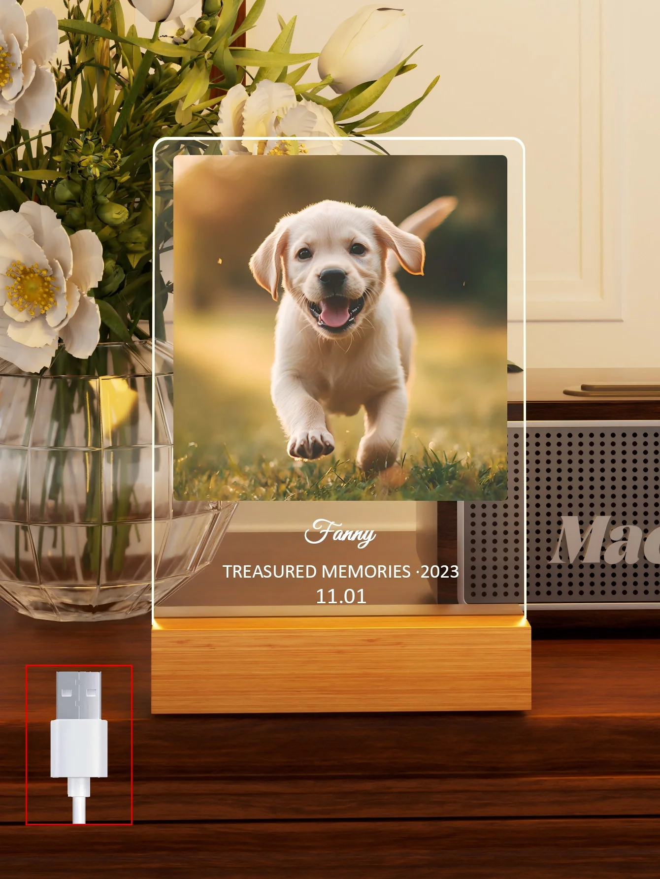 Custom Pet Memorial Nightlight with Name and date tag Pet Photo with text Light Memorial Stand Gift Lost Cat pet memorial nightlight