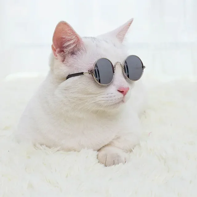 Cat Sunglasses Summer Outdoor Puppy UV Protection Sunglasses Dolls Sun Glasses Small Dog Cosplay Photo Props Cute Pet Sunglasses 3