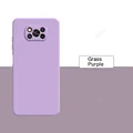 Grass Purple