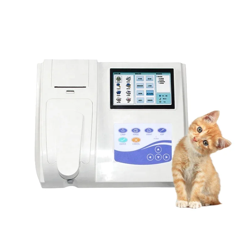 

BC300 Veterinary Equipment Semi Automatic VET bio blood analyzer