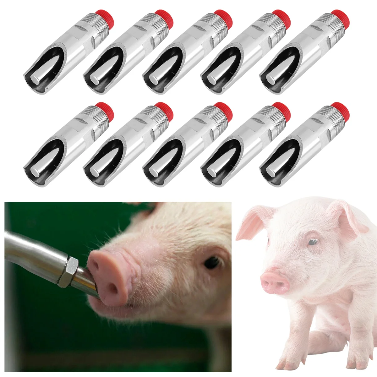 Pig Automatic Nipple Water Dispenser Automatic Water Nozzle Drinking Nipple 10 Stainless Steel nipple connector