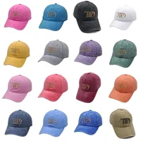 TTPD Embroidery Baseball Cap Summer Vintage Dad Hat Adjustable Hip Hop Hat Unisex 2