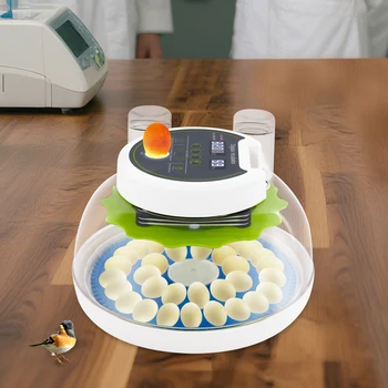 Quail Egg Incubator 33-Egg Automatic Poultry Quail Incubator with Dual Power & LED Light for Home/Farm/School
