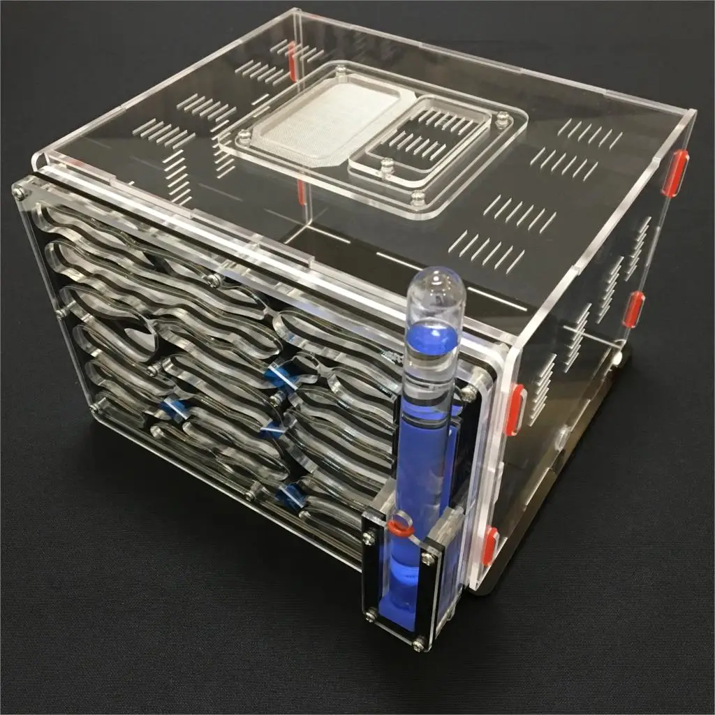 바퀴벌레 트랩 상자, 바퀴벌레 곤충 캐처, 바퀴벌레 킬러, 재사용 가능한 가정용 트랩, 주방 정원용 살충제 