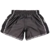 W12 match Muay Thai pants fighting shorts fitness Sanda training boxing suit sanda 3