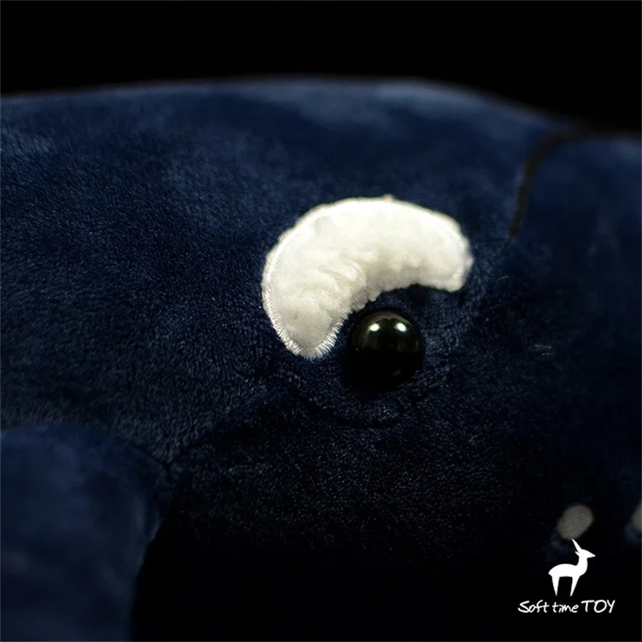 Black Right Whale High Fidelity Anime Plushie Humpback Bowhead Whale Plush Toys Lifelike Animals Simulation Stuffed Kawai Doll 6
