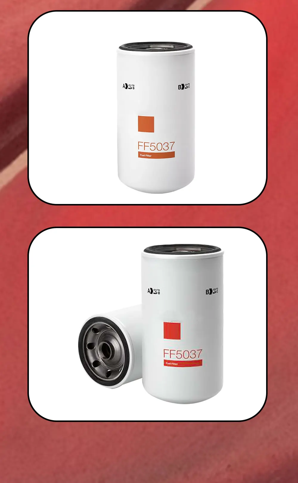High Quality Renovação da Casa