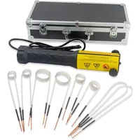 Flameless Heat Induction Tool, 1000W 110V Magnetic Induction Heater Kit with 8 Coils, Handheld Rusty Screw Removing Tool 1