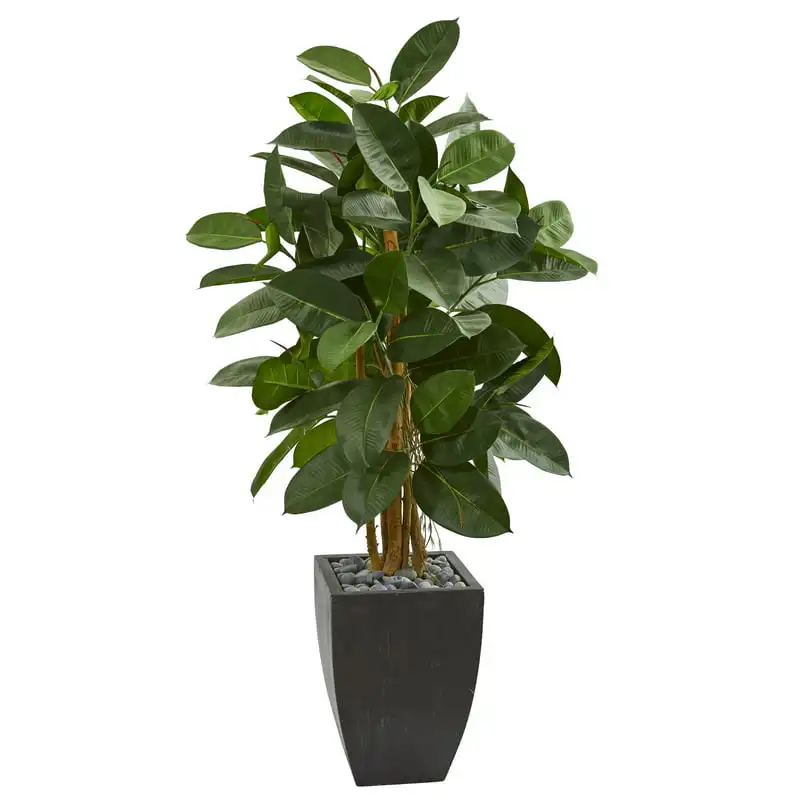 

Artificial Rubber Tree in Black Planter