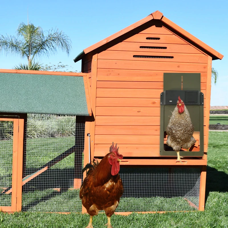 Automatic Chicken Coop Door Opener Battery Powered Light Sense Control Waterproof Pet Flap Accessories Upgrade ABS House Gate 3