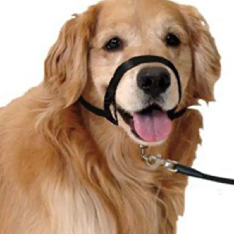 Nylon Dog Muzzle Adjustable Anti-barking Anti-bite Harness Head Collar Halter Training Leash Leader Classic Collar