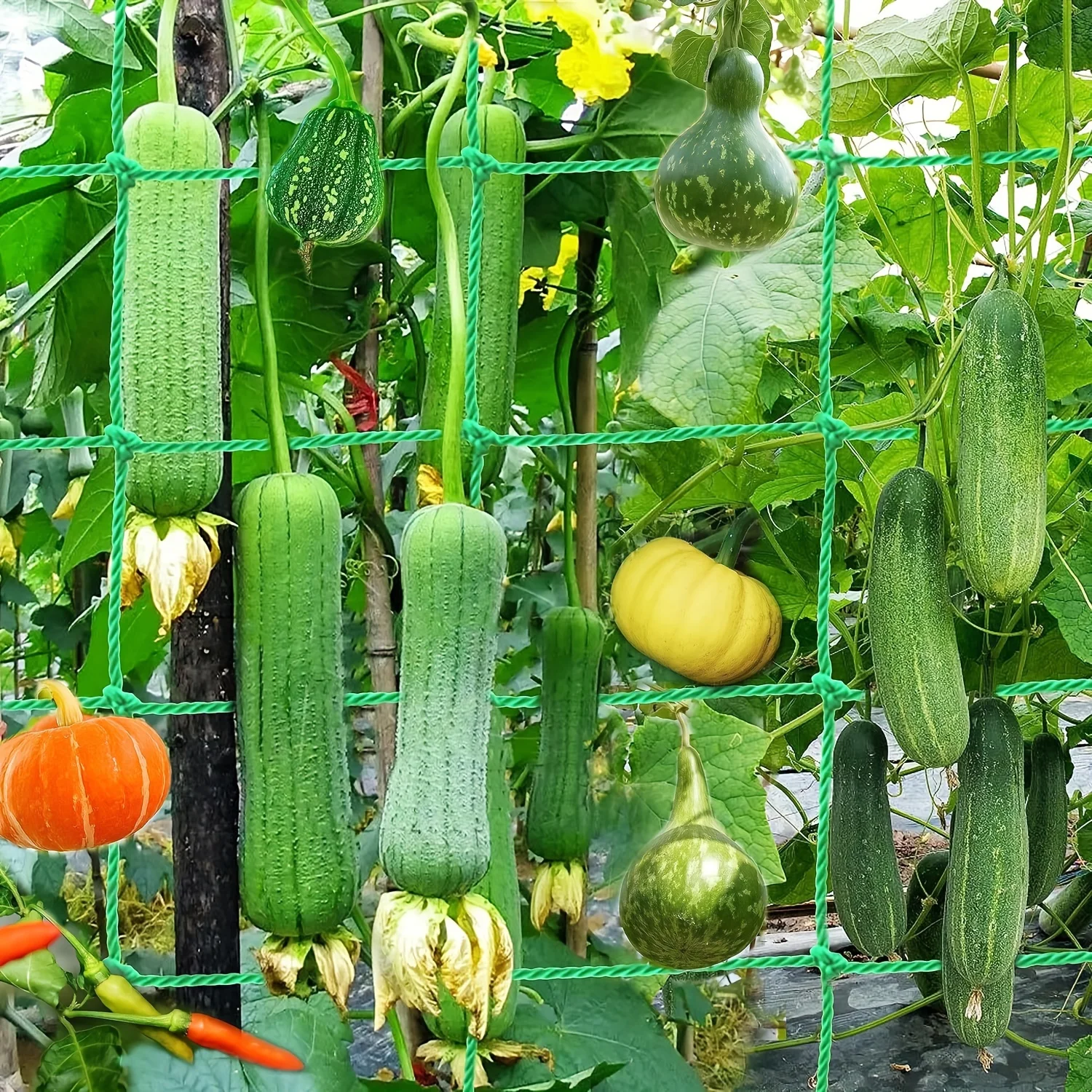 Robustes Kletterstütznetz für Obst und Gemüse, Nylonverstärktes Gurken- und Luffa-Stütznetz, Rankenstütze