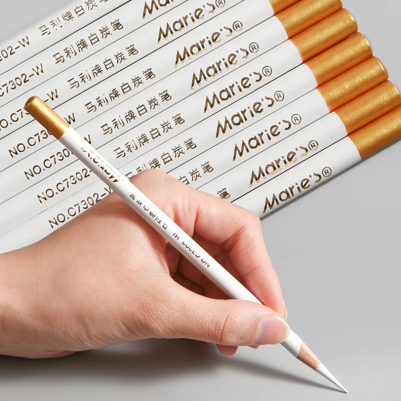 12pcs/Box Charcoal Art Student White Highlighting Sketching Pencil Set Student Drawing Sketching Black Charcoal Pencil