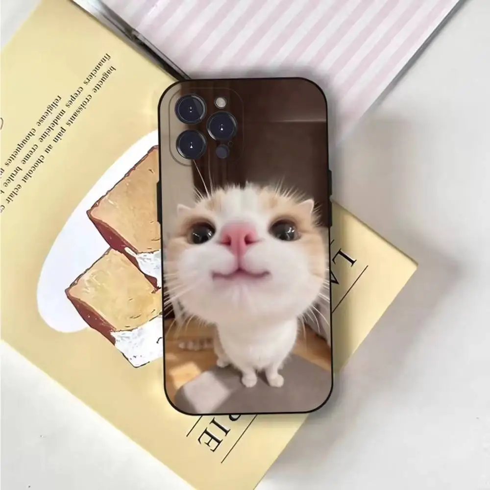 Funny Animal Cat Phone Case For iPhone 17 16 15 11 12 thumbnail 4