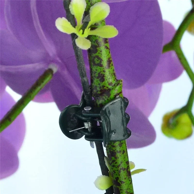 Plant clips 20-100Pcs Garden Butterfly Orchid Flower Support Clamp Fruit Vegetable Stem Vine Tied Stakes Grafting Tools