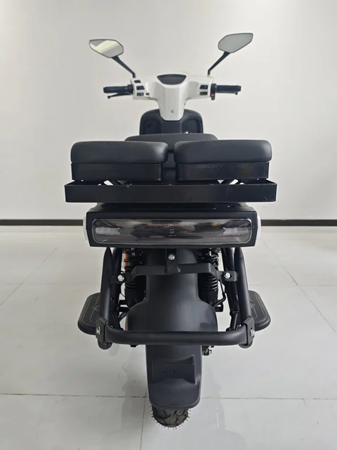 Electric Cargo Bike Fast E-scooter Carry Load King Electric Loader Scooter 5 Electric Cargo Bike Fast E-scooter Carry Load King Electric Loader Scooter 5