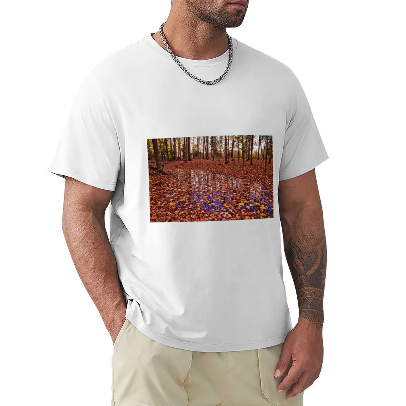

Reflections of Fall (original composition) T-Shirt vintage Blouse t shirts for men