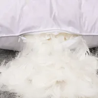 Down Pillow 100% White Goose Down/Feather Pillow Five-star Hotel Goose Feather Pillows Single Healthy Pillow Orthopedic Pillows 2
