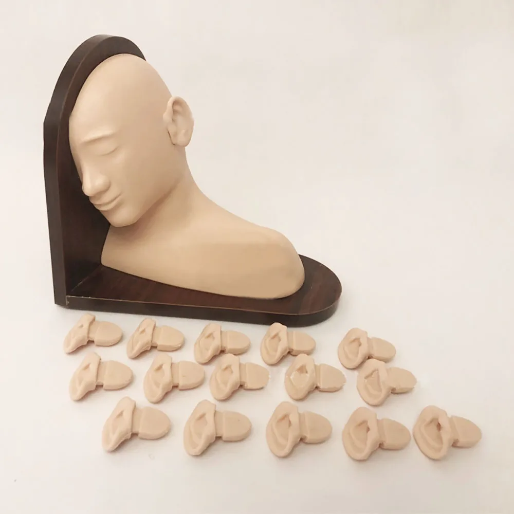 

Advanced Ear Examination Model
