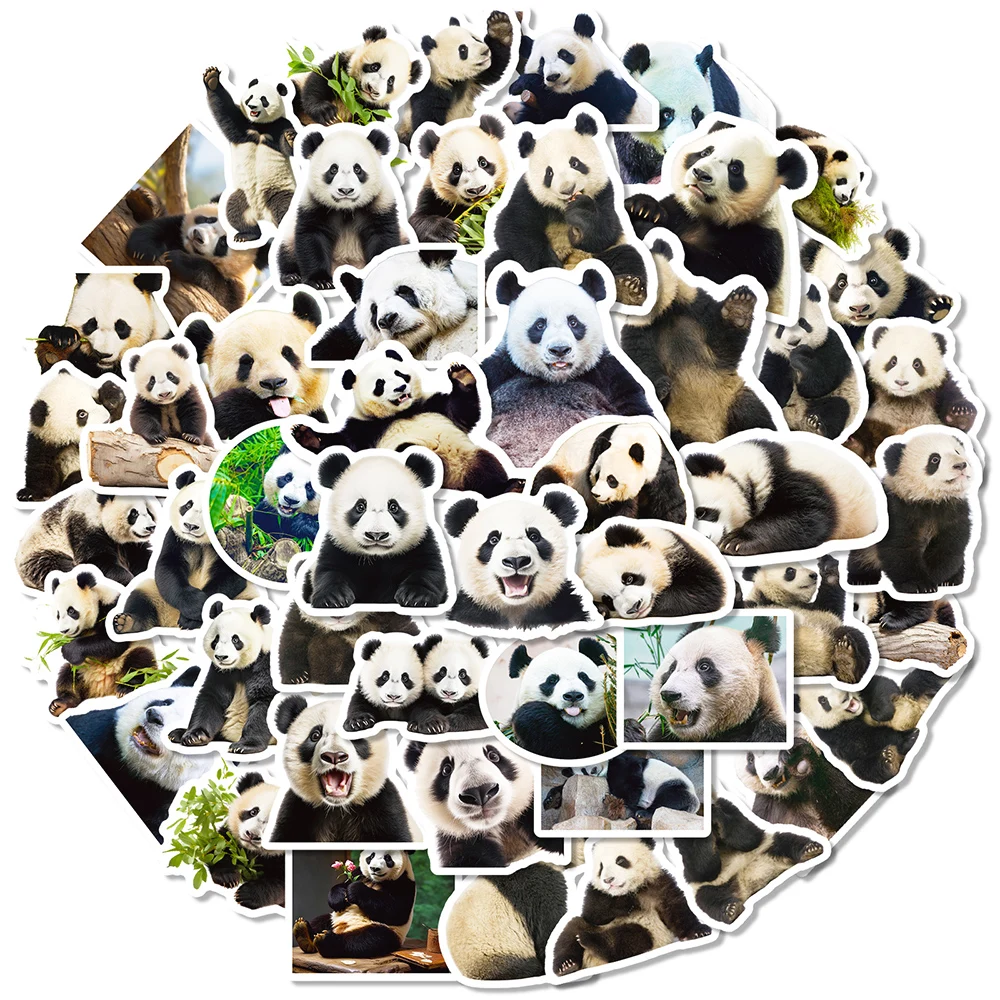 

10/50Pcs Cute Realistic Funny Panda Varied Graffiti Stickers DIY Laptop Scrapbooking Notebook Helmet Backpack Decoration Decals