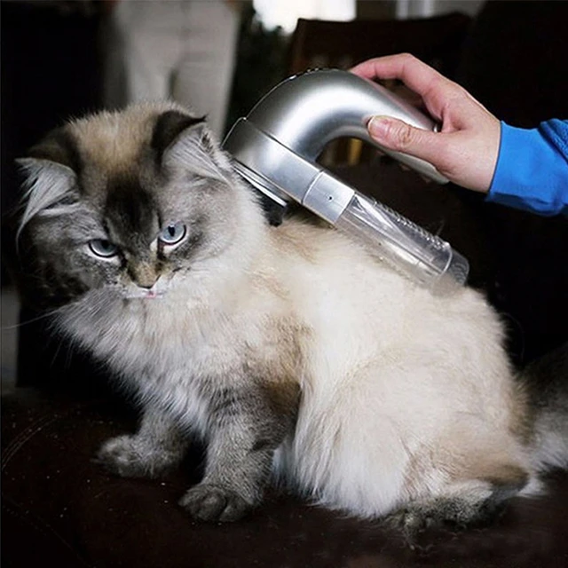 Aspirateur portable pour chats et chiens, haute puissance, stérilisation  des acariens, aspirateur de poils d'animaux, fournitures de livres pour  chats et chiens, ventouse pour poils d'animaux - AliExpress