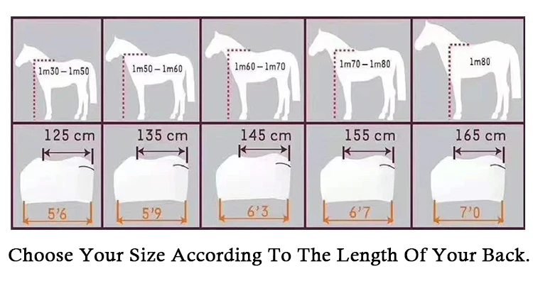 Professional Manufacturer Horse Riding Products Horses Stable Blanket Cutback Westcoast Equine Rug Equestrian Equipment