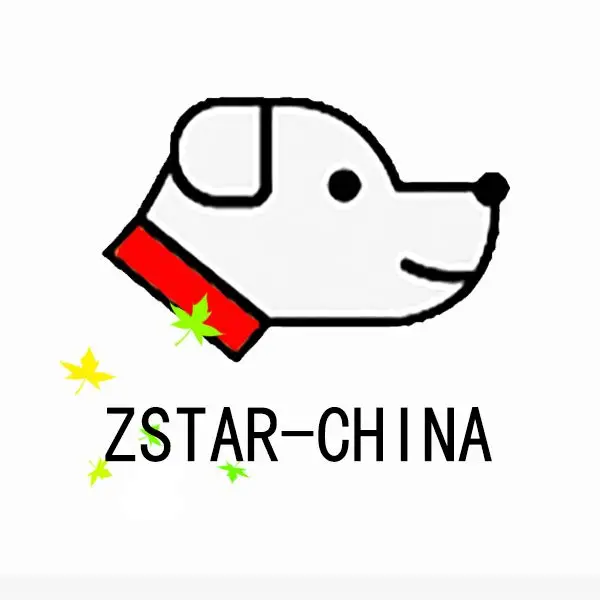 ZSTAR-CHINA Store