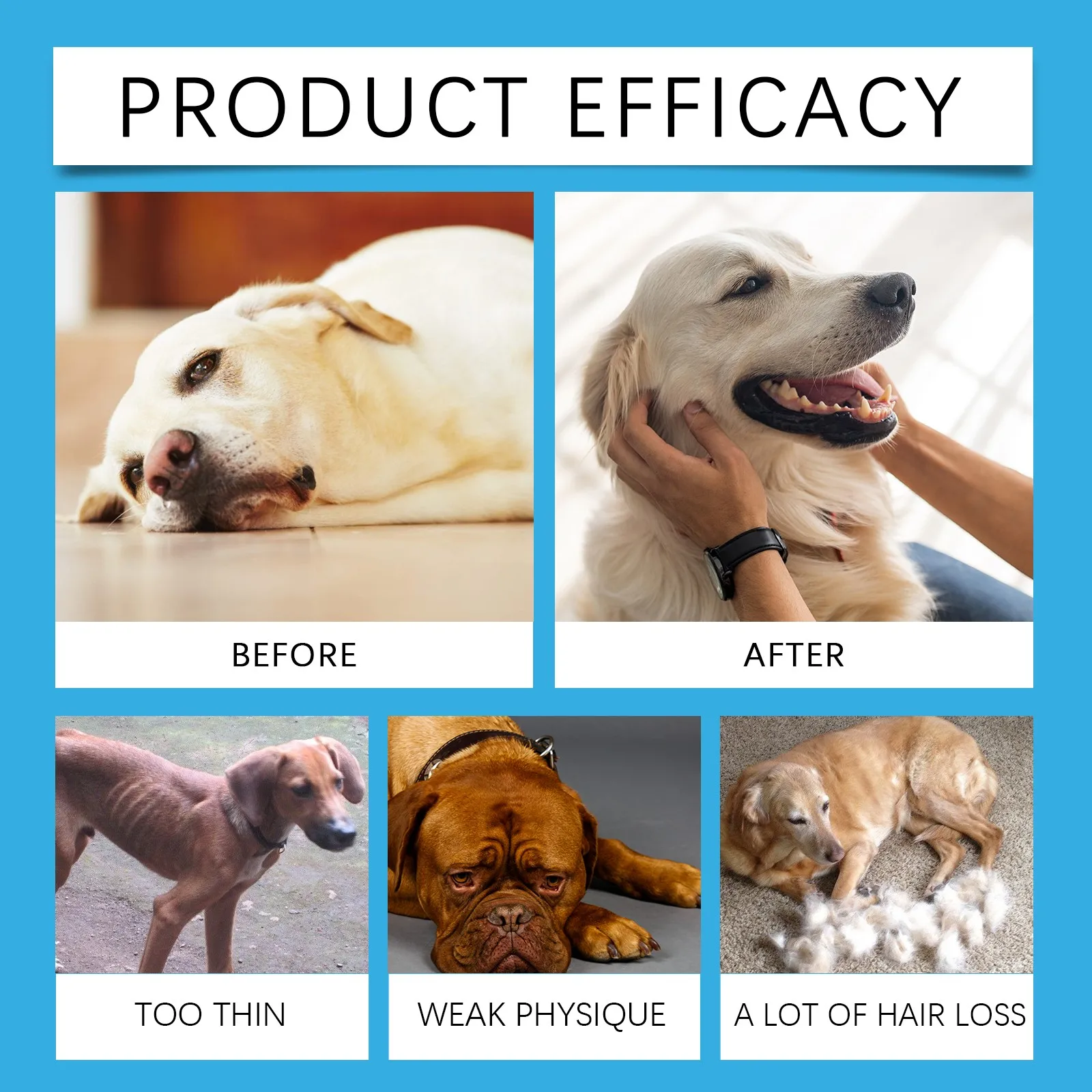 Pet health supplements Yegbong Pet Health Drops Cats Dogs Balanced Nutrition Enhance Puppy Kitten Disease Immunity Multi Vitamin Pet Health Supplements