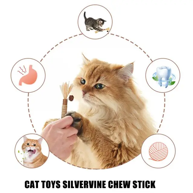 Silvervine Chew Sticks for Cats Chew Toys for Kittens Teeth Cleaning Calm Cat Anxiety Aggressive Chewers Cat Dental Toy ﻿ 2