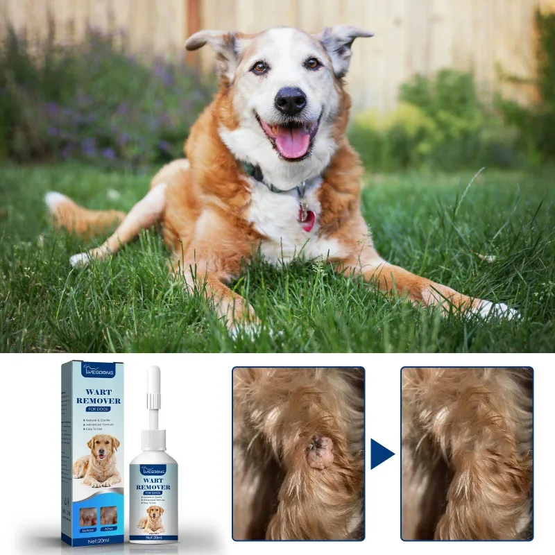 Pet Wart Liquid Pet Remove Meat Grains Corn Remove Sting Monkey Silk Flat, You Liquid Wart Lijing