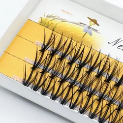 10D/20D/30D Eyelash clusters box/60 bundles of natural lashes extension Russian individual cluster lashes makeup false eyelashes