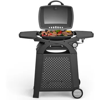 Portable Propane Grill 1