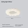 49cm ceiling lamp